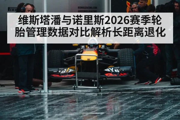 维斯塔潘与诺里斯2026赛季轮胎管理数据对比解析长距离退化